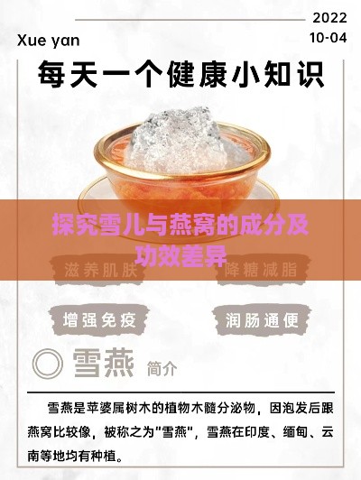 探究雪儿与燕窝的成分及功效差异