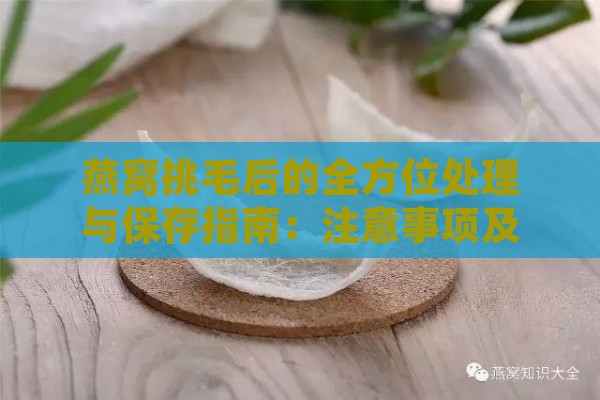 燕窝挑毛后的全方位处理与保存指南：注意事项及实用技巧