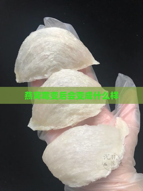 燕窝霉变后会变成什么样