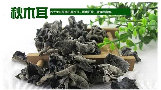 深入解析：白木耳与燕窝的营养成分及功效差异对比