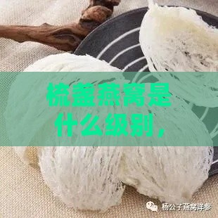 梳盏燕窝是什么级别，燕窝疏盏与燕盏的区别及含义