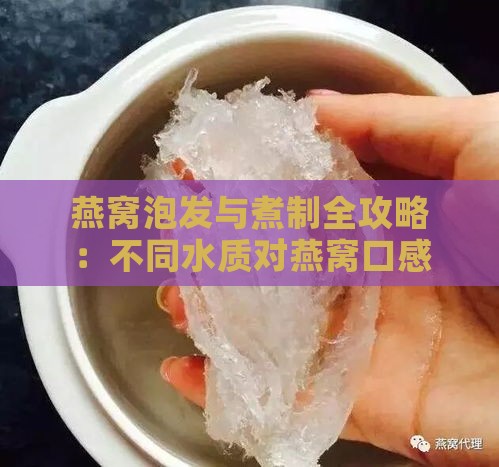 燕窝泡发与煮制全攻略：不同水质对燕窝口感与营养的影响解析