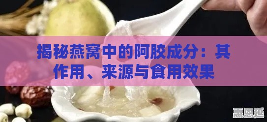 揭秘燕窝中的阿胶成分：其作用、来源与食用效果