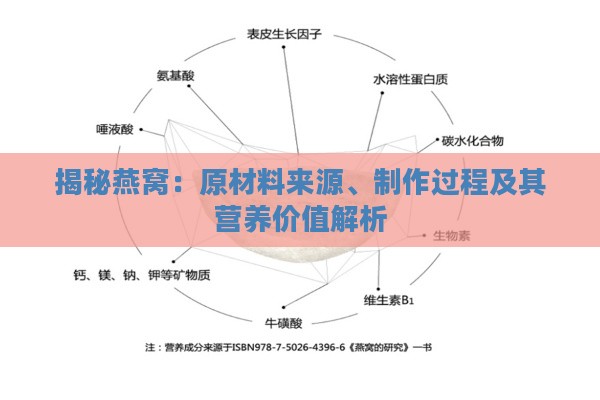 揭秘燕窝：原材料来源、制作过程及其营养价值解析