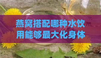 燕窝搭配哪种水饮用能够更大化身体益处