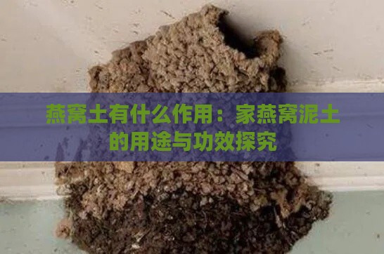 燕窝土有什么作用：家燕窝泥土的用途与功效探究