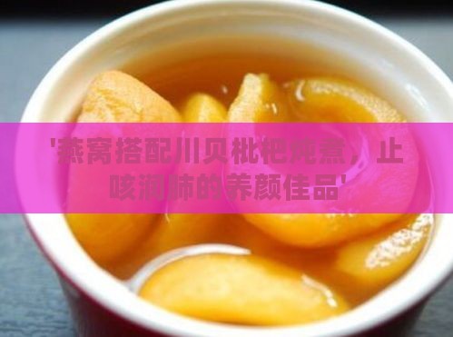 '燕窝搭配川贝枇杷炖煮，止咳润肺的养颜佳品'