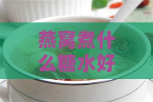 燕窝煮什么糖水好：推荐美味糖水搭配与煮燕窝加糖指南