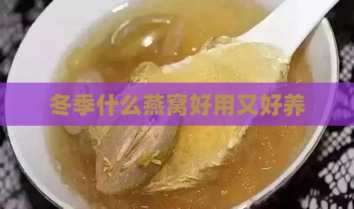 冬季什么燕窝好用又好养