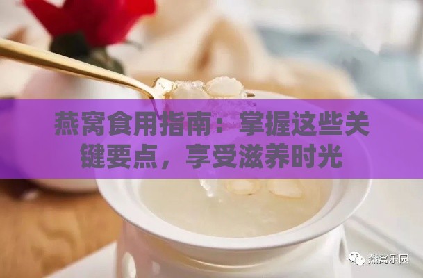 燕窝食用指南：掌握这些关键要点，享受滋养时光