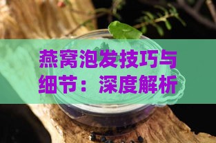 燕窝泡发技巧与细节：深度解析燕窝泡发全过程