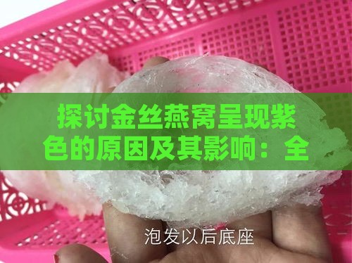 探讨金丝燕窝呈现紫色的原因及其影响：全方位解析颜色变化背后的因素