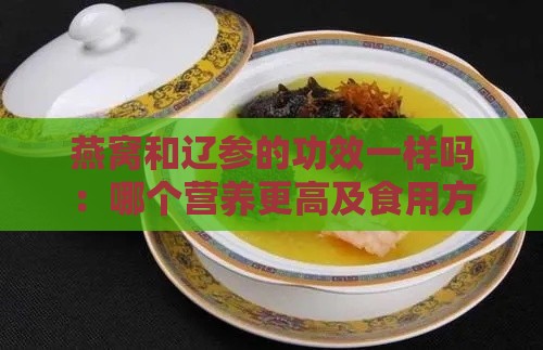 燕窝和辽参的功效一样吗：哪个营养更高及食用方法解析