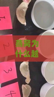 燕窝为什么越泡越少：探究燕窝泡发后散开、不成条及泡发时间长的原因