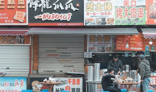 '徐水地区精选商品一站式购物指南：热门店铺推荐'