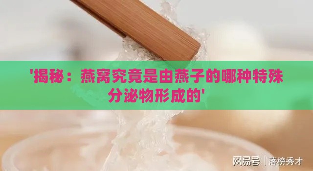 '揭秘：燕窝究竟是由燕子的哪种特殊分泌物形成的'