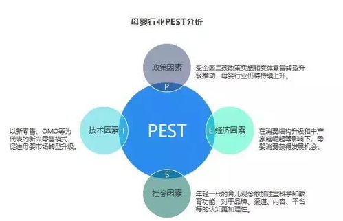 全面解析燕窝市场：目标人群、消费趋势与市场机遇洞察