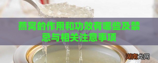 燕窝的作用和功效有哪些及禁忌与相关注意事项