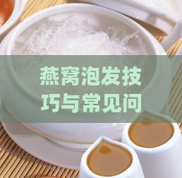 燕窝泡发技巧与常见问题解析：如何正确水泡燕窝及注意事项