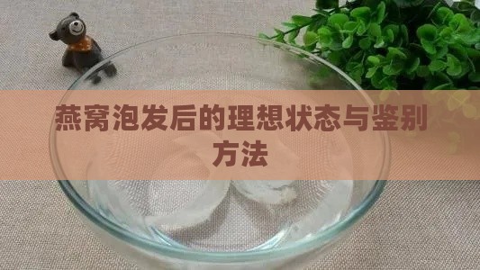 燕窝泡发后的理想状态与鉴别方法