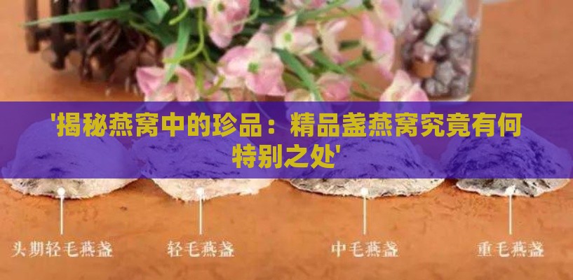 '揭秘燕窝中的珍品：精品盏燕窝究竟有何特别之处'