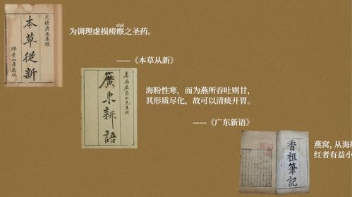 从选材到营销：全面攻略手工燕窝创业之路