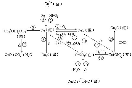 燕窝活性成分与营养素深度解析：化学组成详尽分析