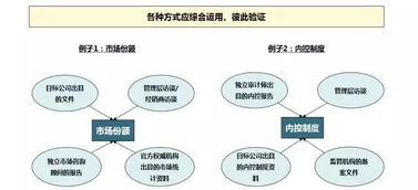 燕窝活性成分与营养素深度解析：化学组成详尽分析