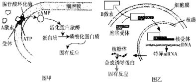 燕窝活性成分与营养素深度解析：化学组成详尽分析