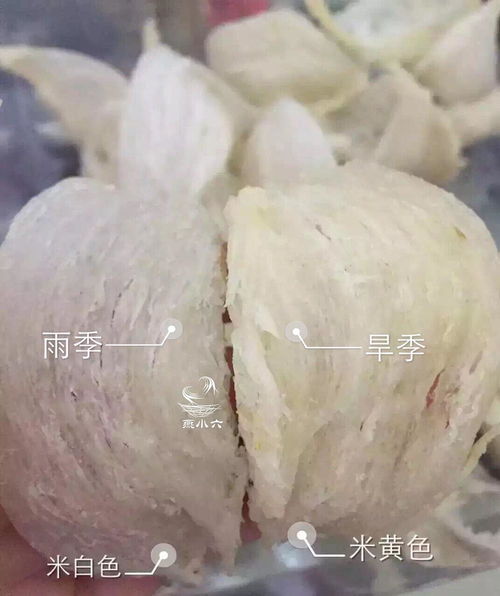 南方口水做的燕窝是什么：揭秘独特食材背后的传统与创新