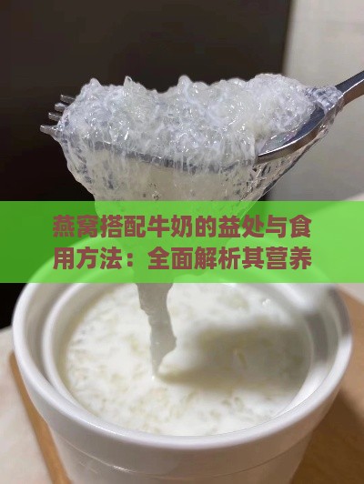 燕窝搭配牛奶的益处与食用方法：全面解析其营养价值和保健功效