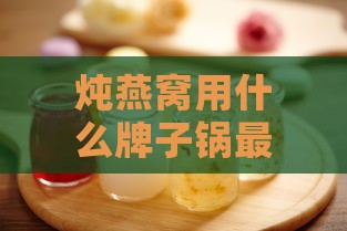 炖燕窝用什么牌子锅更好