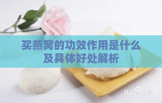 买燕窝的功效作用是什么及具体好处解析