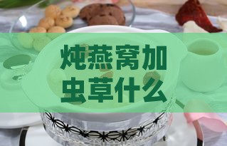 炖燕窝加虫草什么时候放更好：炖煮时机与食用建议