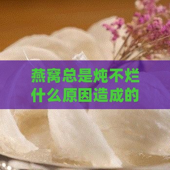 燕窝总是炖不烂什么原因造成的：炖不开的原因与解决方法探讨