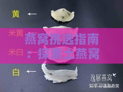 燕窝挑选指南：探索土燕窝显白更佳颜色选择