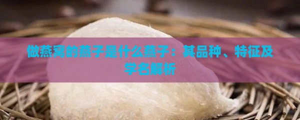 做燕窝的燕子是什么燕子：其品种、特征及学名解析