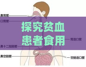 探究贫血患者食用燕窝的益处与营养支持