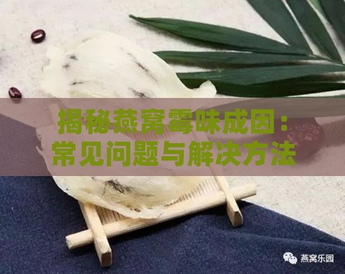 揭秘燕窝霉味成因：常见问题与解决方法全解析