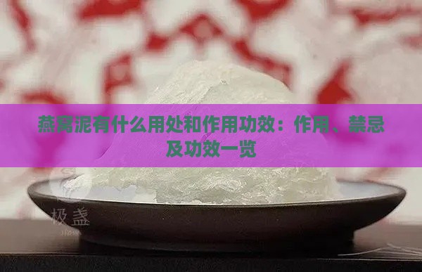 燕窝泥有什么用处和作用功效：作用、禁忌及功效一览