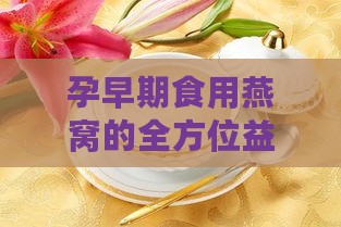 孕早期食用燕窝的全方位益处与建议：如何正确补充营养