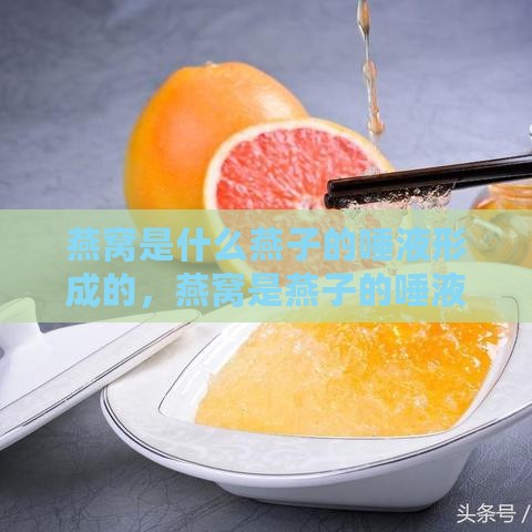 燕窝是什么燕子的唾液形成的，燕窝是燕子的唾液做成的吗？