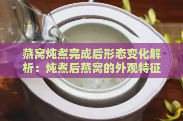 燕窝炖煮完成后形态变化解析：炖煮后燕窝的外观特征