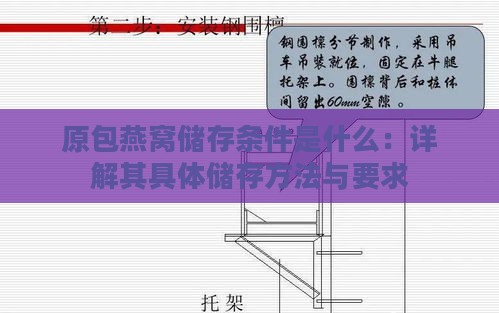 原包燕窝储存条件是什么：详解其具体储存方法与要求