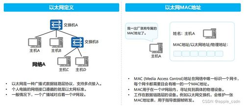 原包燕窝储存条件是什么：详解其具体储存方法与要求