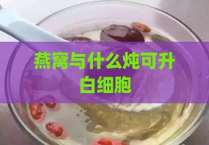 燕窝与什么炖可升白细胞