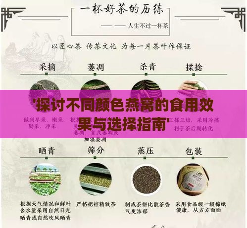 '探讨不同颜色燕窝的食用效果与选择指南'