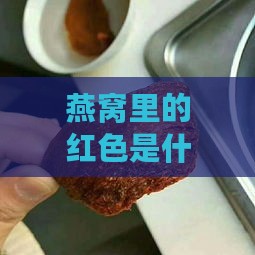 燕窝里的红色是什么菌群引起的及其原因与具体菌群分析