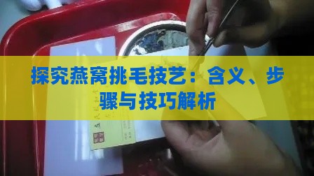 探究燕窝挑毛技艺：含义、步骤与技巧解析