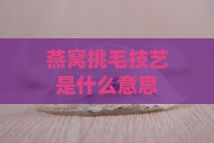 燕窝挑毛技艺是什么意思